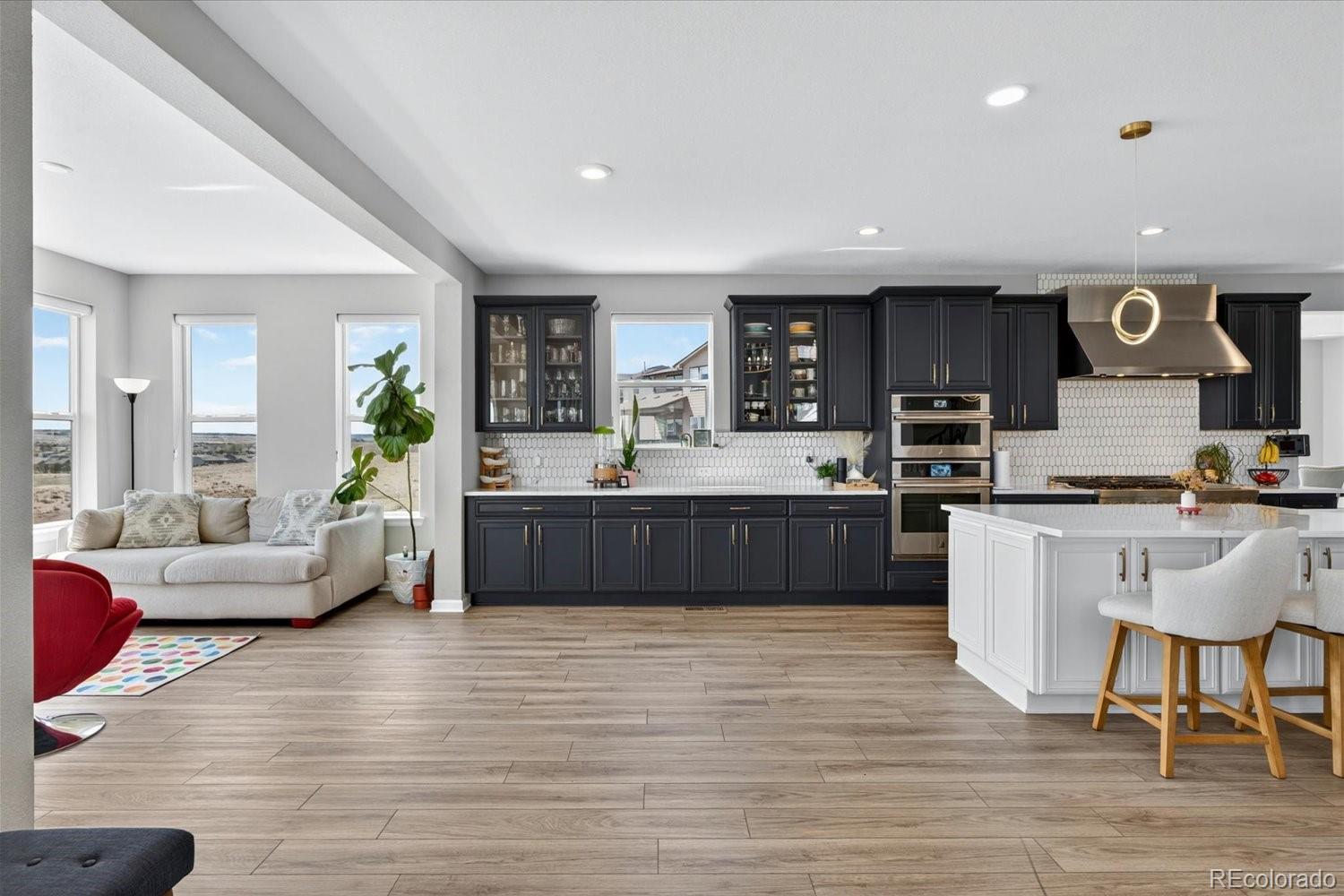 MLS Image #11 for 5999  las rosas drive,parker, Colorado