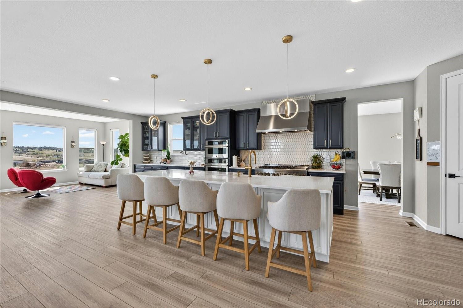 MLS Image #8 for 5999  las rosas drive,parker, Colorado