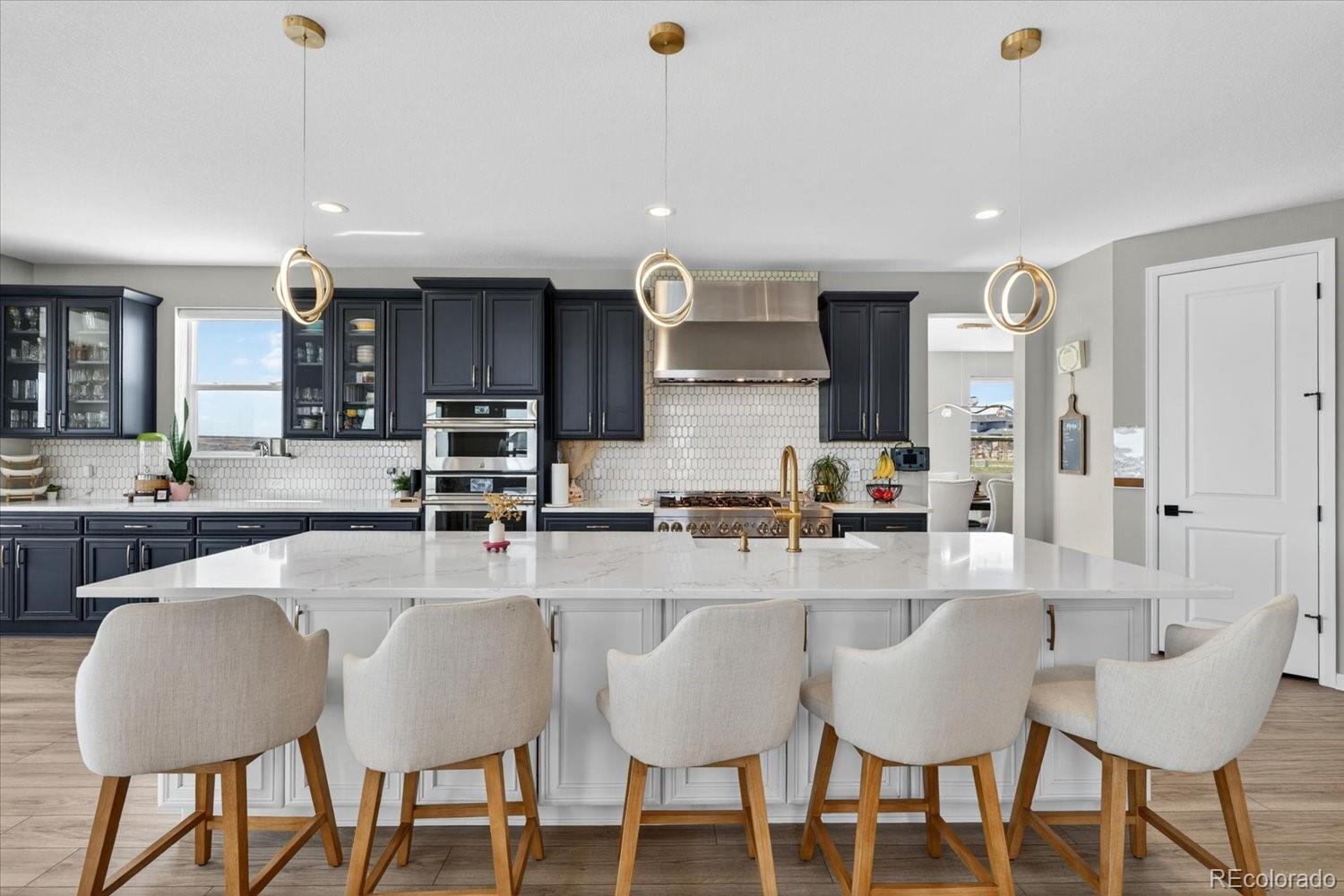 MLS Image #9 for 5999  las rosas drive,parker, Colorado