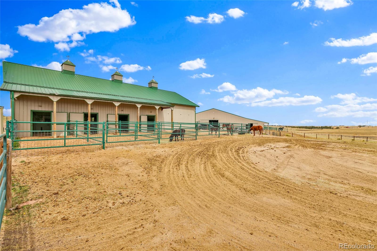 MLS Image #3 for 5350  taylor renee circle,elizabeth, Colorado