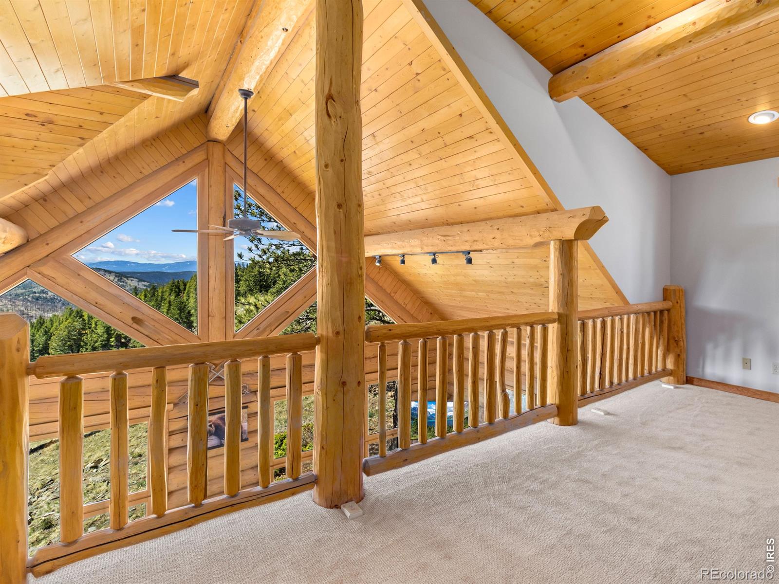 MLS Image #15 for 1398  gold lake road,ward, Colorado