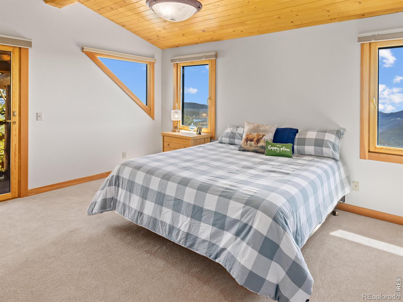 MLS Image #18 for 1398  gold lake road,ward, Colorado