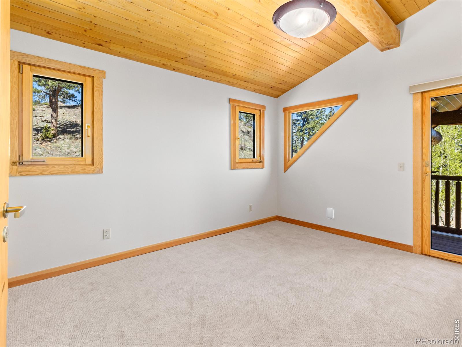 MLS Image #21 for 1398  gold lake road,ward, Colorado