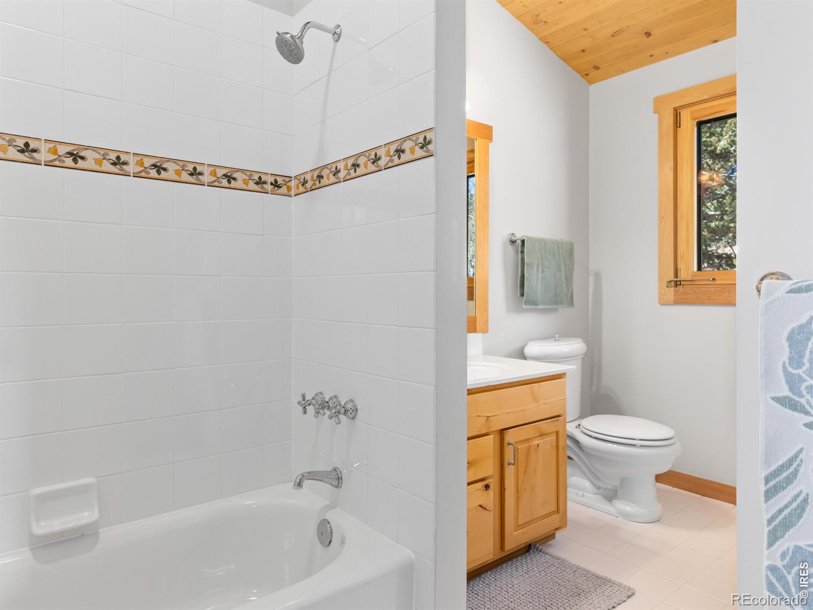 MLS Image #22 for 1398  gold lake road,ward, Colorado