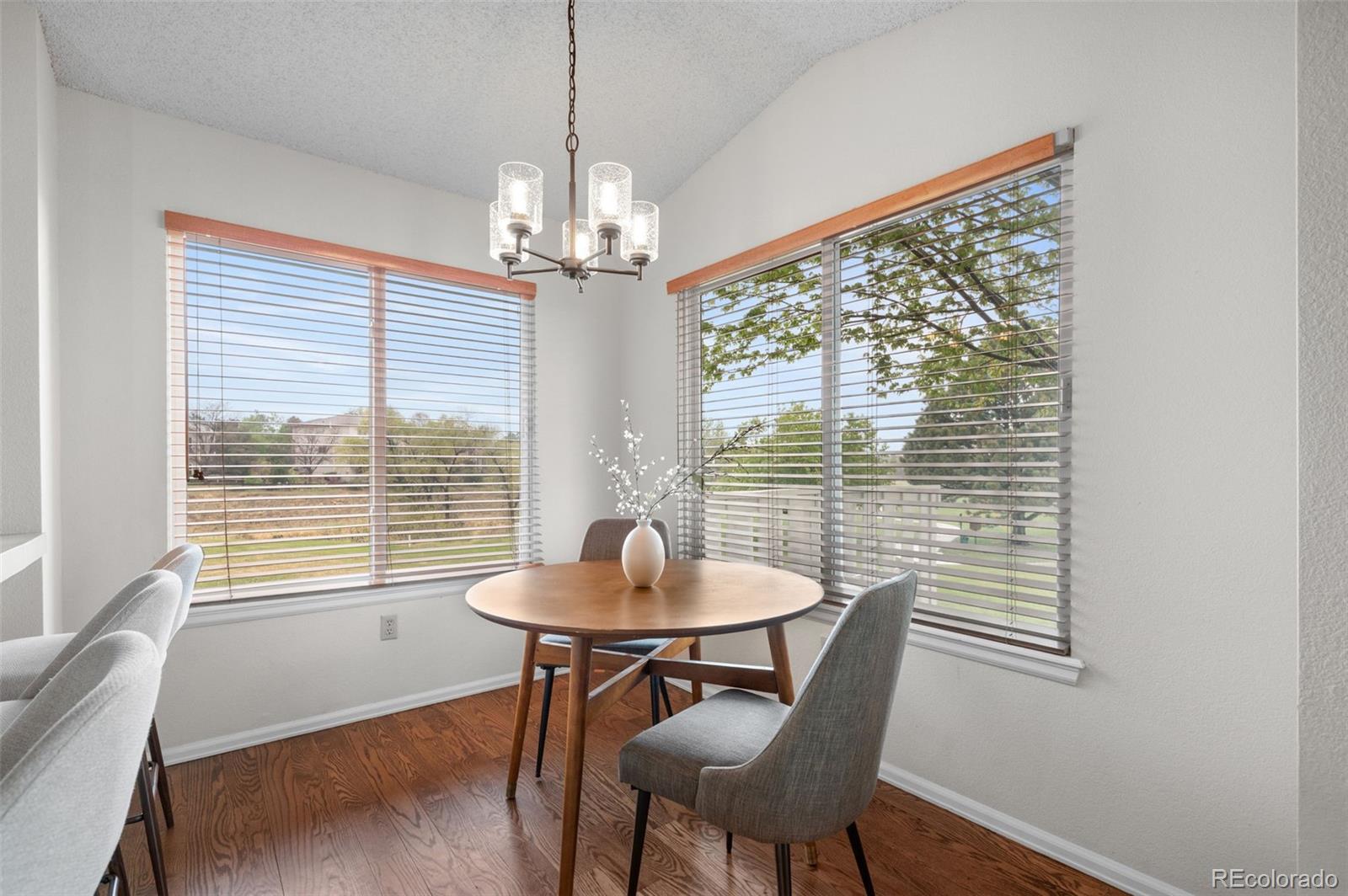 MLS Image #15 for 23  abernathy court,highlands ranch, Colorado