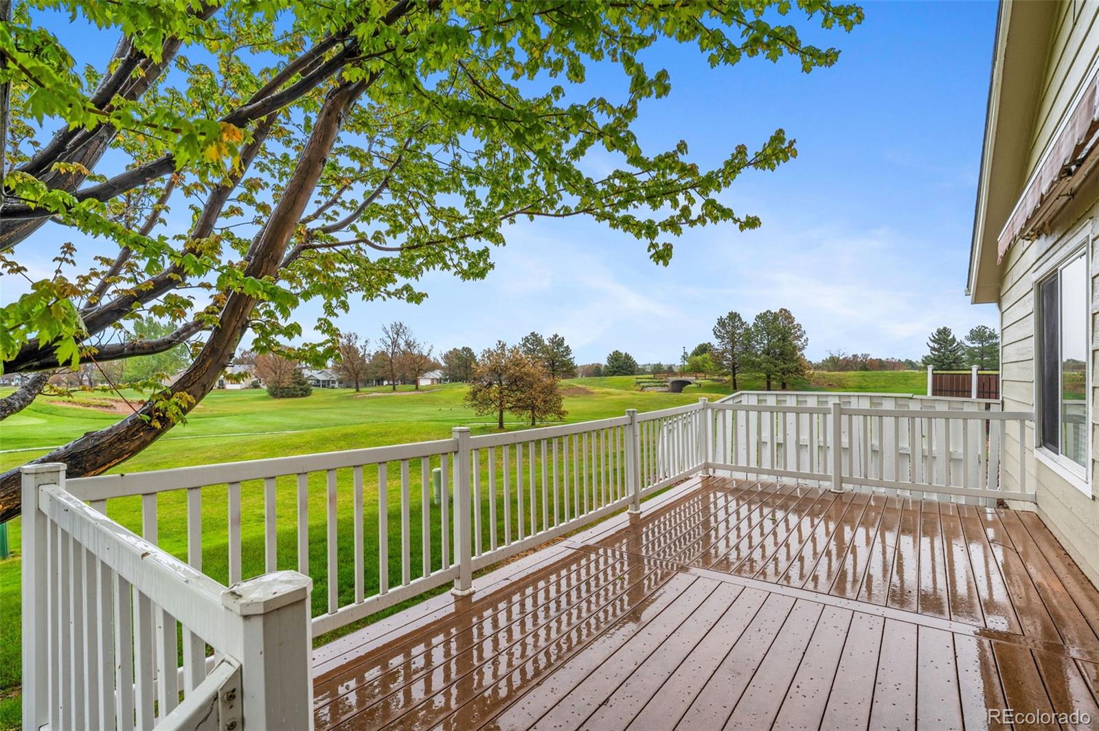 MLS Image #30 for 23  abernathy court,highlands ranch, Colorado