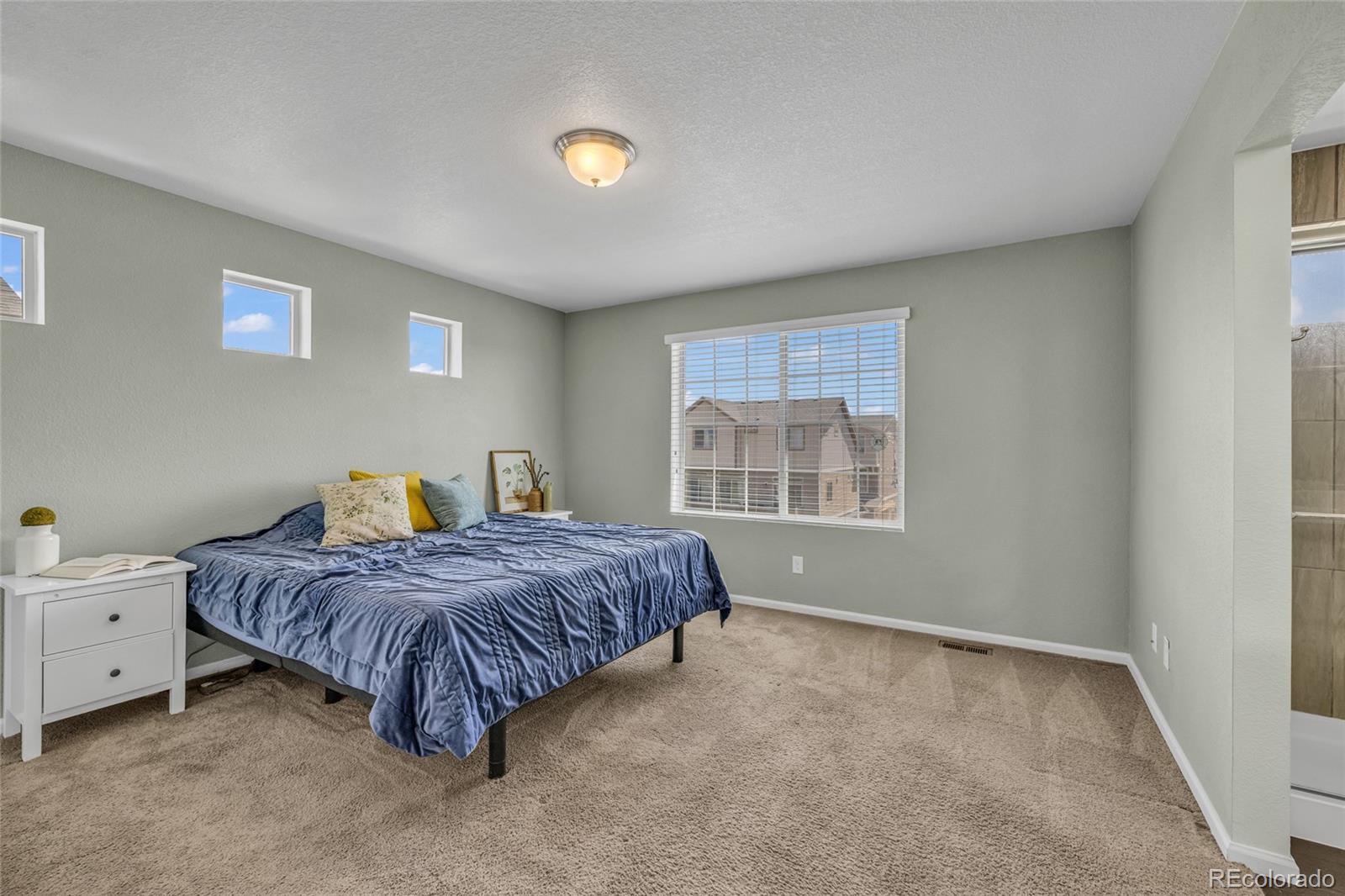 MLS Image #22 for 18183 e 104th way,commerce city, Colorado