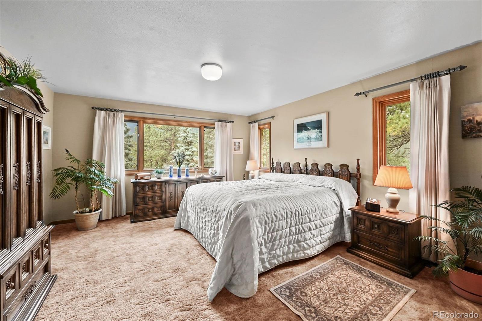 MLS Image #17 for 901  cr 64 ,bailey, Colorado