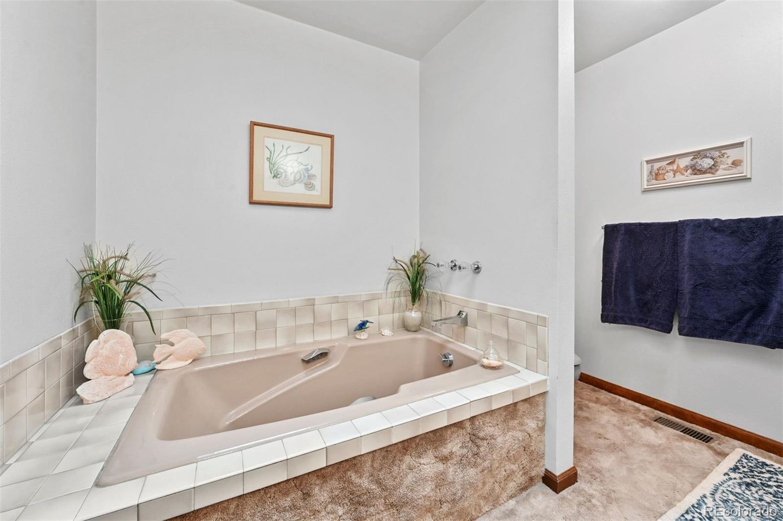 MLS Image #19 for 901  cr 64 ,bailey, Colorado