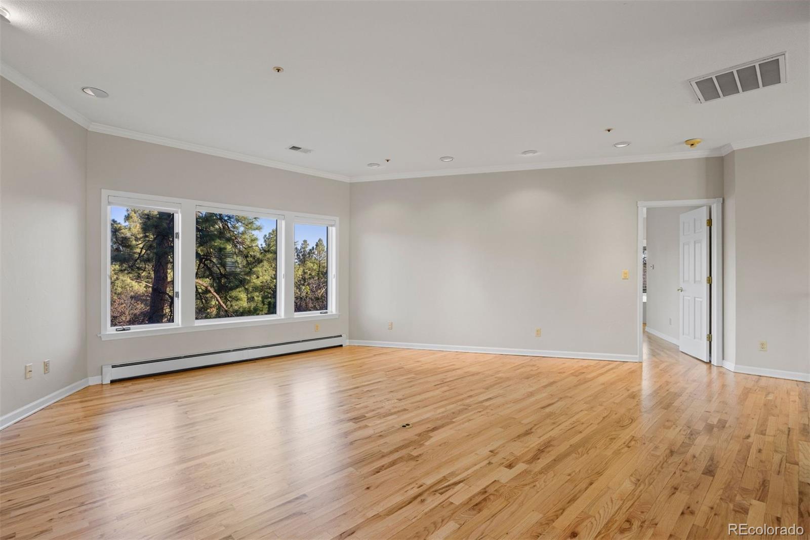 MLS Image #21 for 76  crestone way,castle rock, Colorado