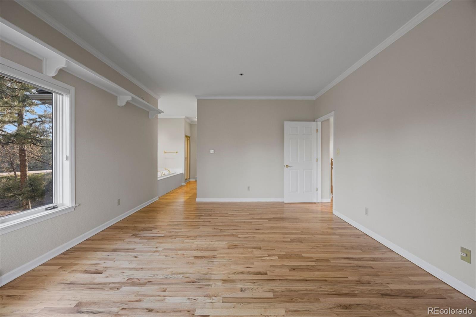 MLS Image #27 for 76  crestone way,castle rock, Colorado