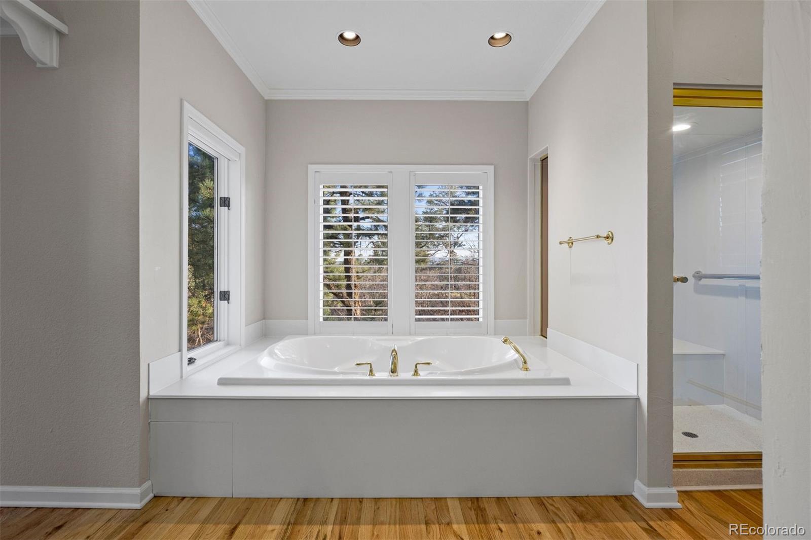 MLS Image #28 for 76  crestone way,castle rock, Colorado