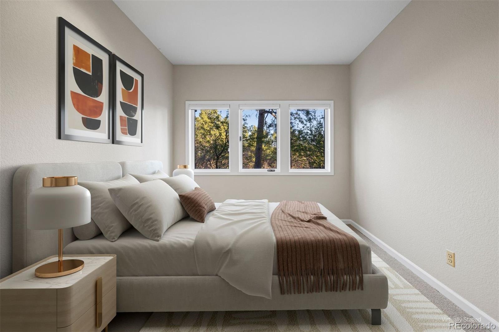 MLS Image #9 for 76  crestone way,castle rock, Colorado