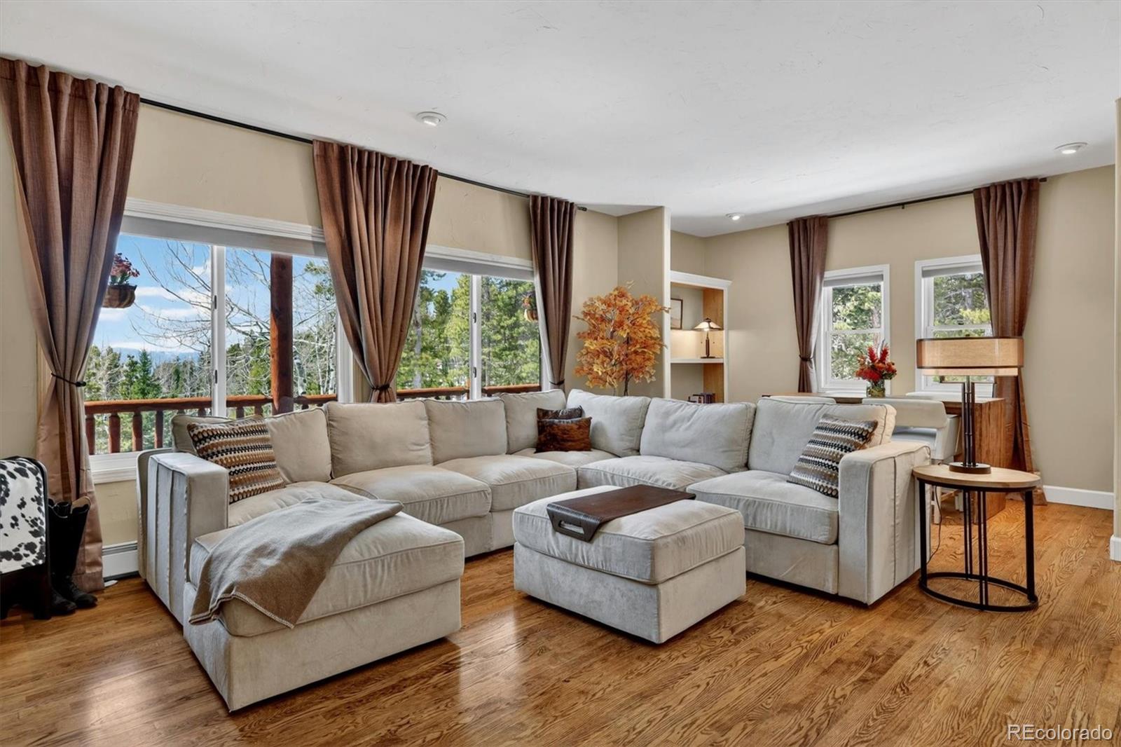 MLS Image #10 for 10632  conifer mountain road,conifer, Colorado