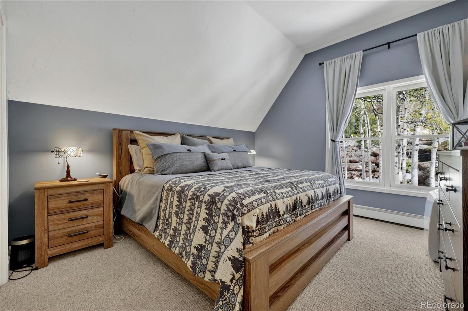 MLS Image #22 for 10632  conifer mountain road,conifer, Colorado