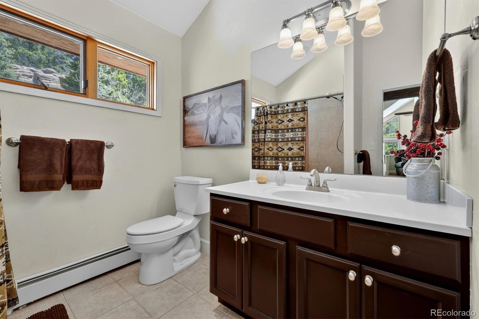 MLS Image #24 for 10632  conifer mountain road,conifer, Colorado