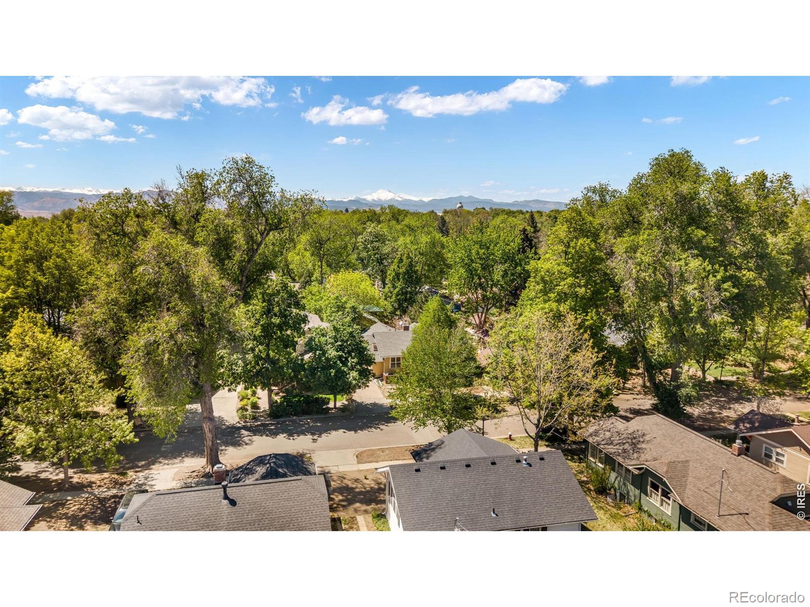 MLS Image #45 for 341  grant street,longmont, Colorado