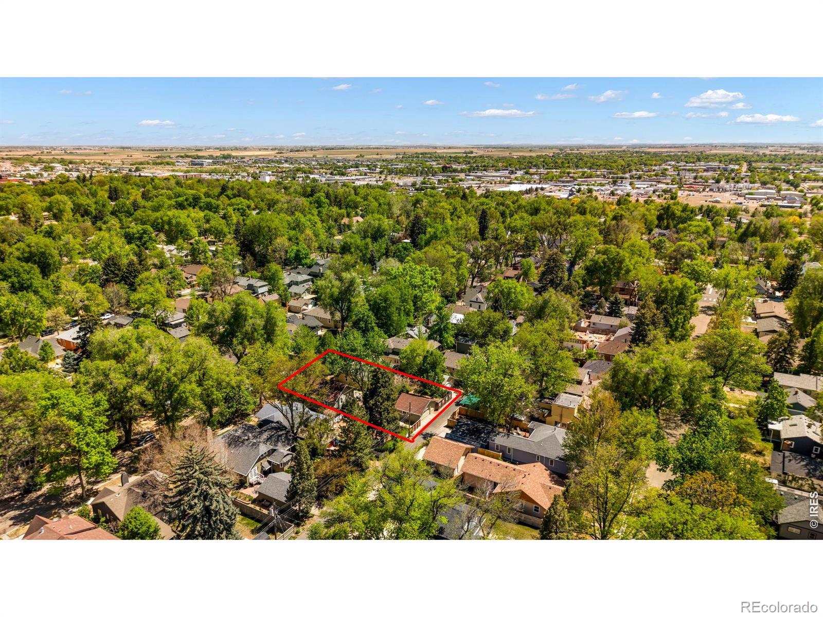 MLS Image #47 for 341  grant street,longmont, Colorado