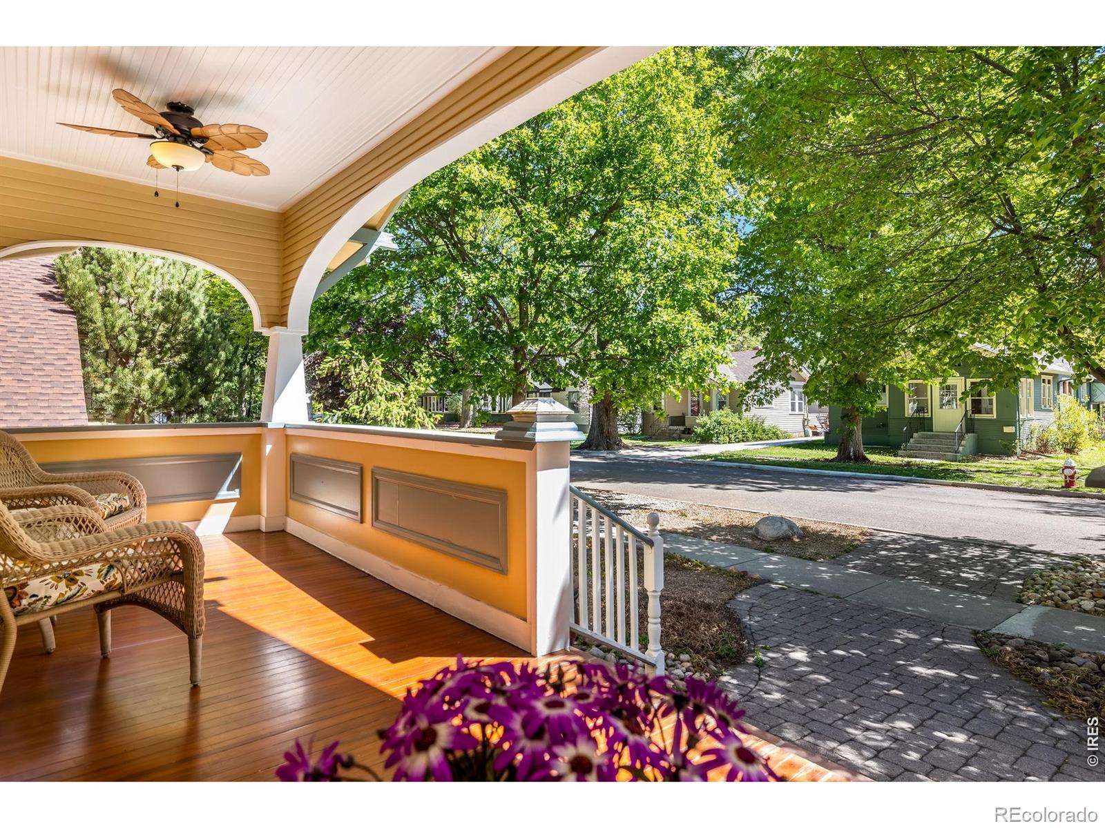 MLS Image #5 for 341  grant street,longmont, Colorado