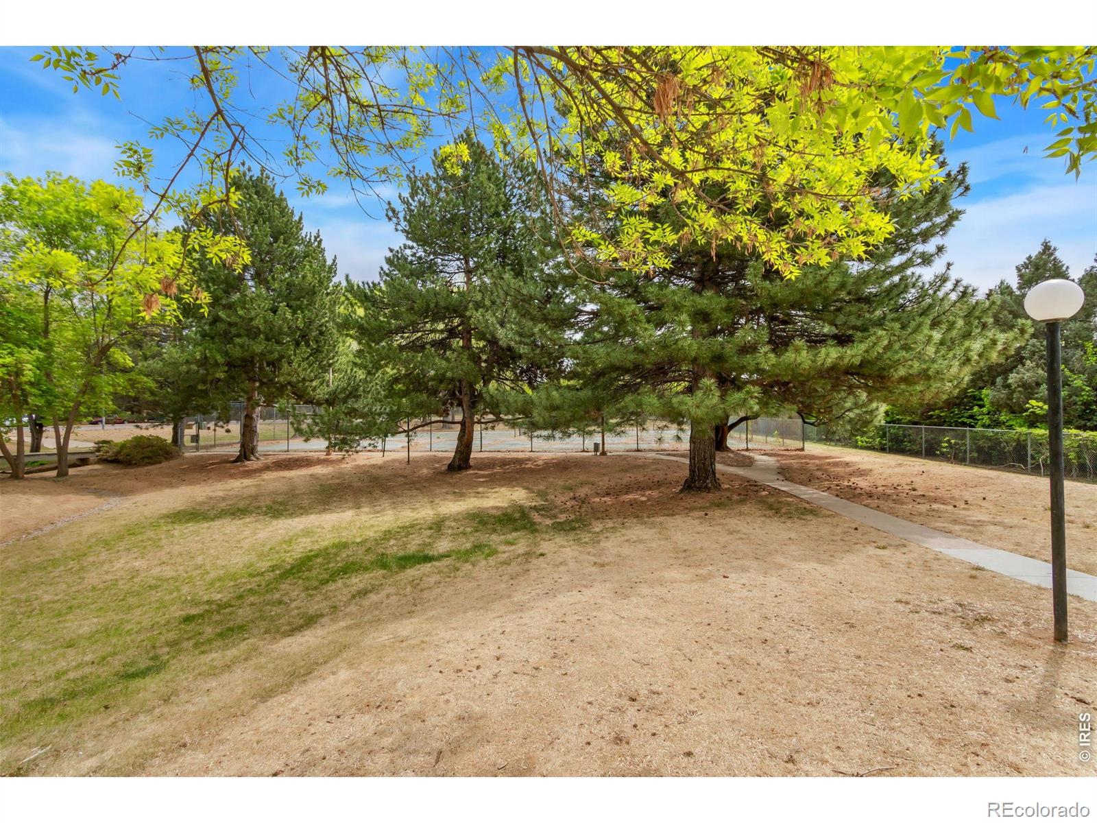 MLS Image #37 for 925  columbia road,fort collins, Colorado