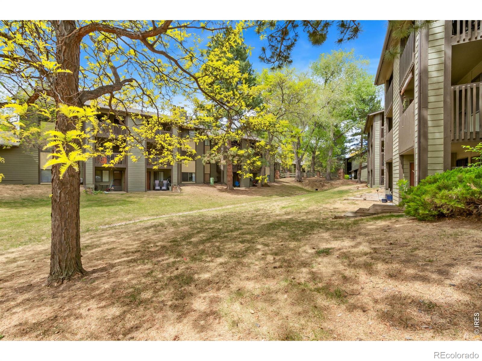MLS Image #40 for 925  columbia road,fort collins, Colorado