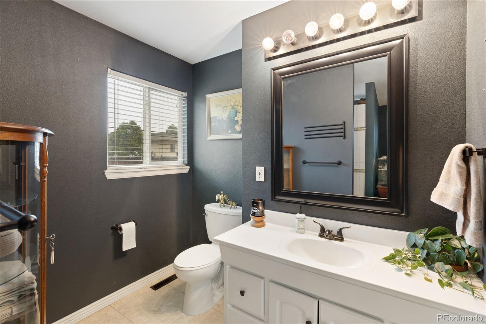 MLS Image #15 for 3288 w parade circle,colorado springs, Colorado