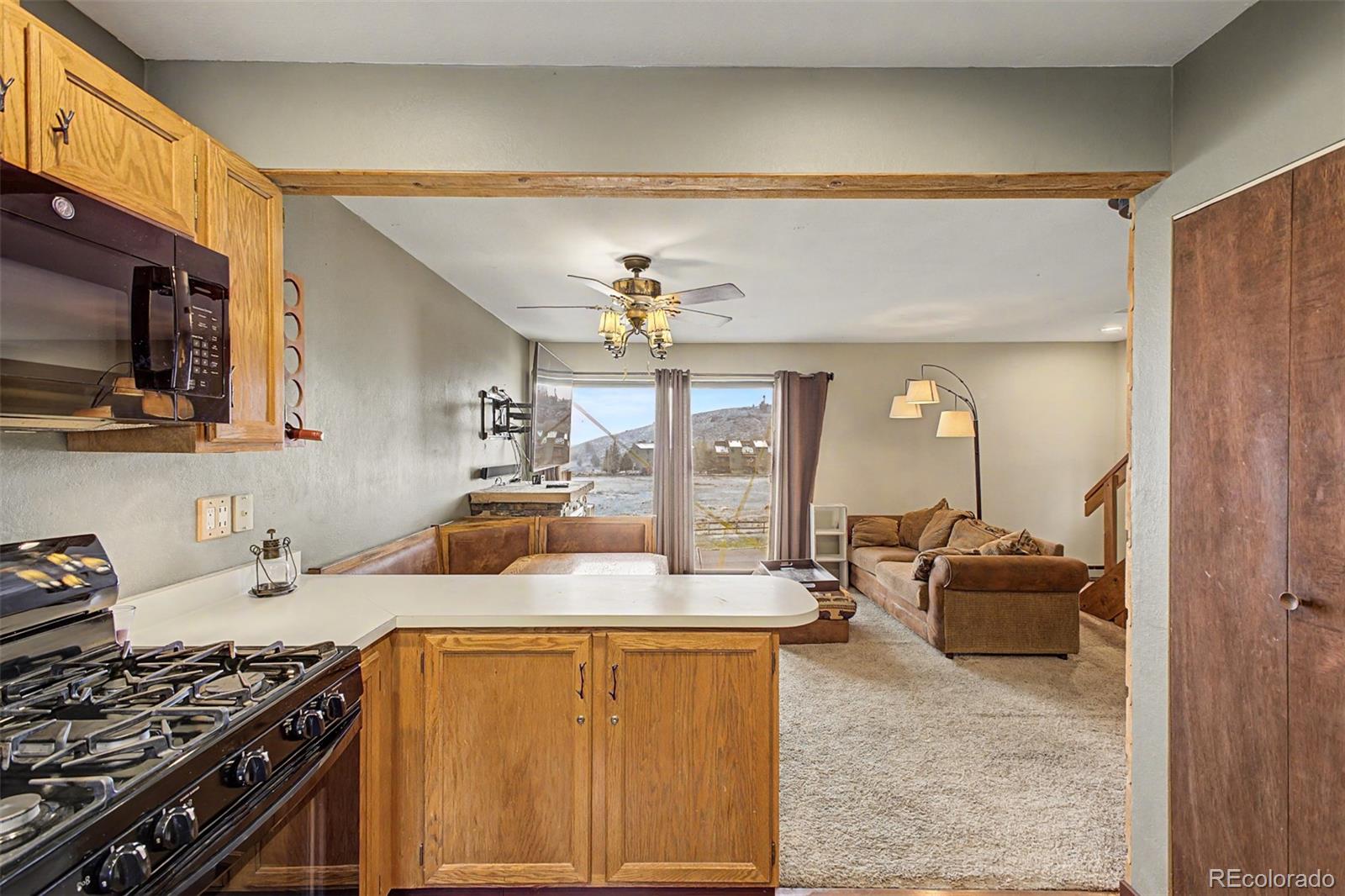 MLS Image #10 for 258  county road 442 ,grand lake, Colorado