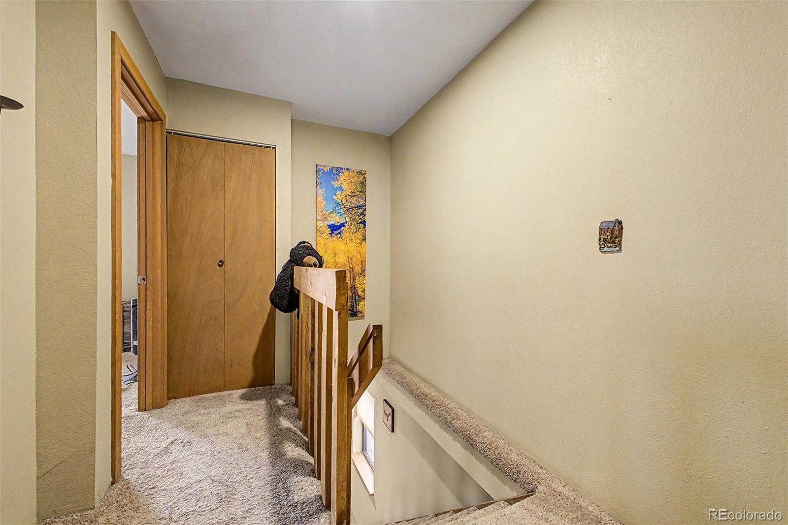 MLS Image #20 for 258  county road 442 ,grand lake, Colorado