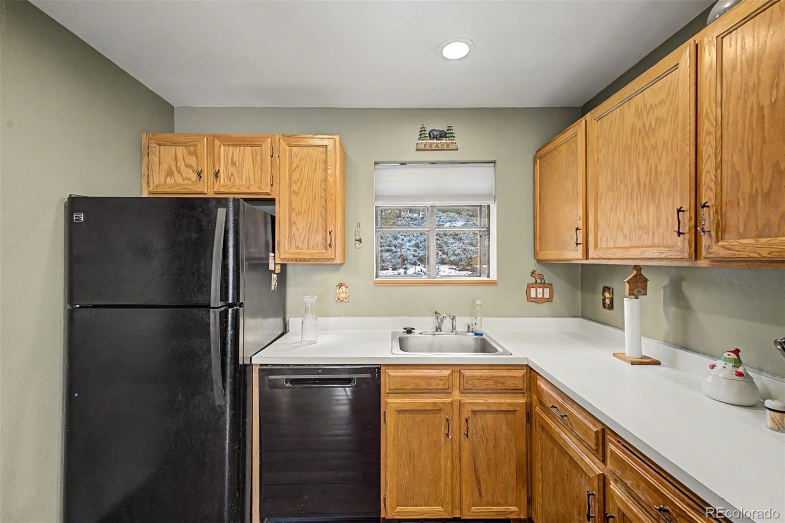 MLS Image #9 for 258  county road 442 ,grand lake, Colorado
