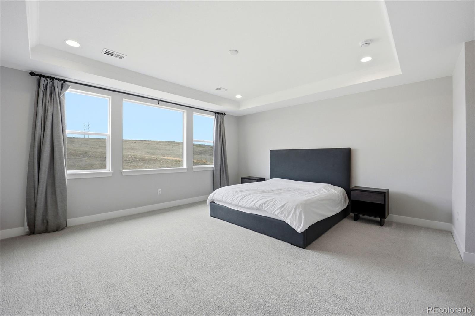MLS Image #13 for 17949 w 95th place,arvada, Colorado