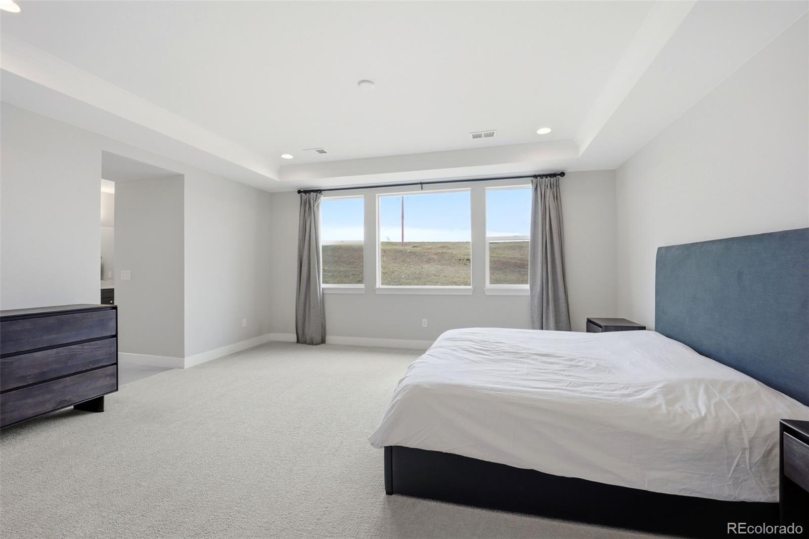 MLS Image #14 for 17949 w 95th place,arvada, Colorado