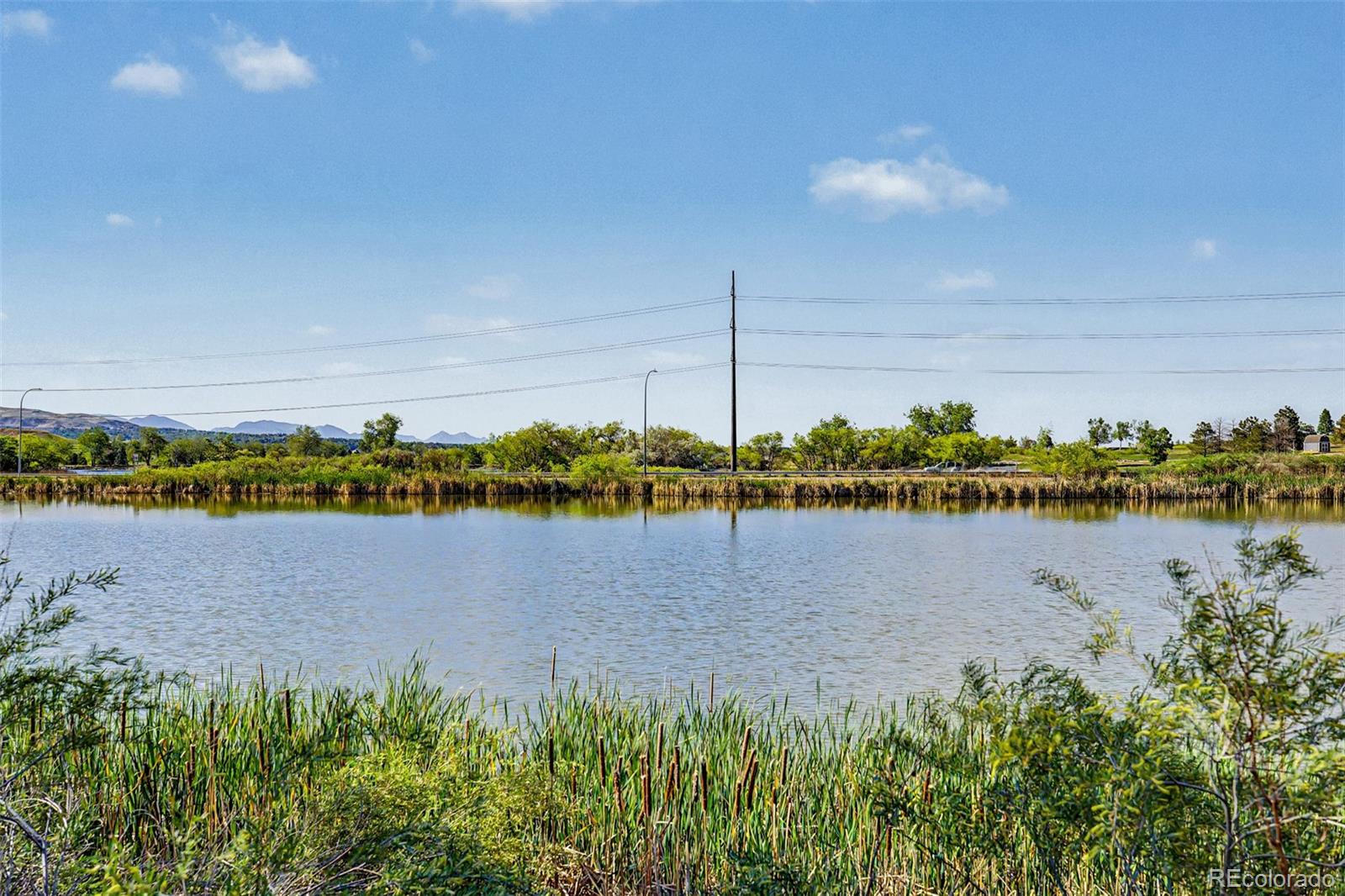 MLS Image #49 for 8100 w quincy avenue,littleton, Colorado