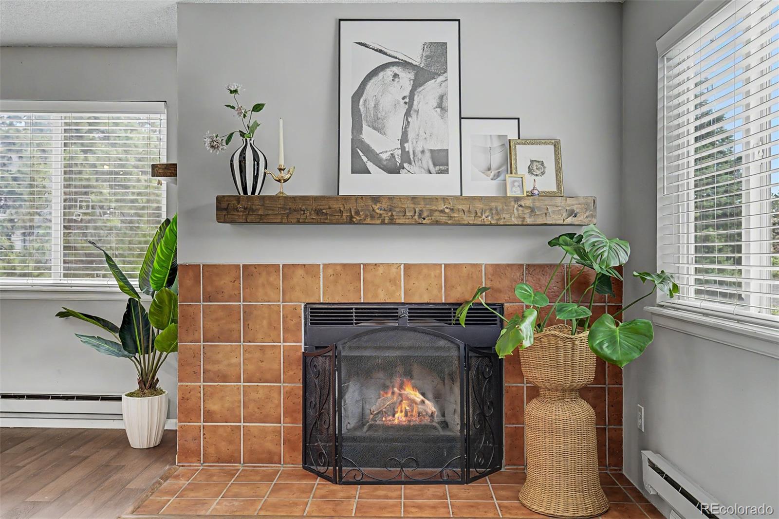 MLS Image #8 for 8100 w quincy avenue,littleton, Colorado