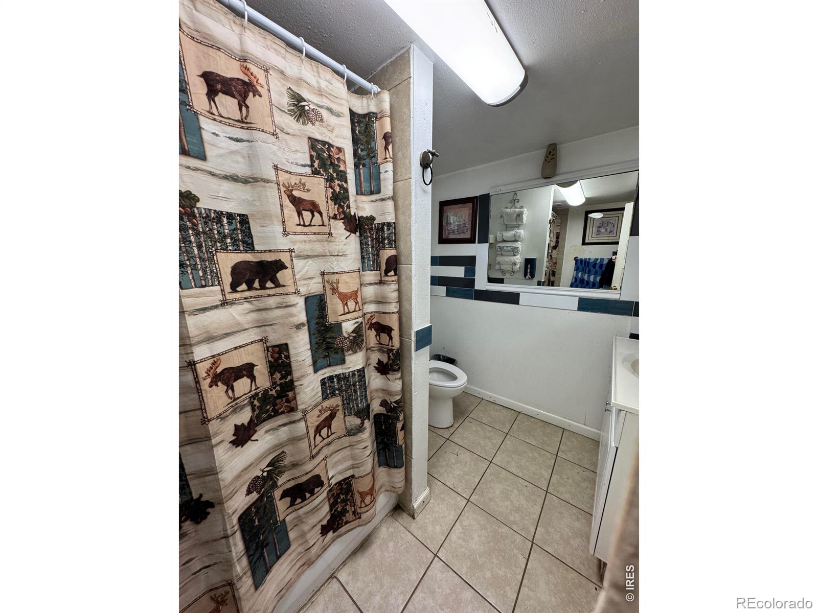 MLS Image #10 for 220  emery street,longmont, Colorado