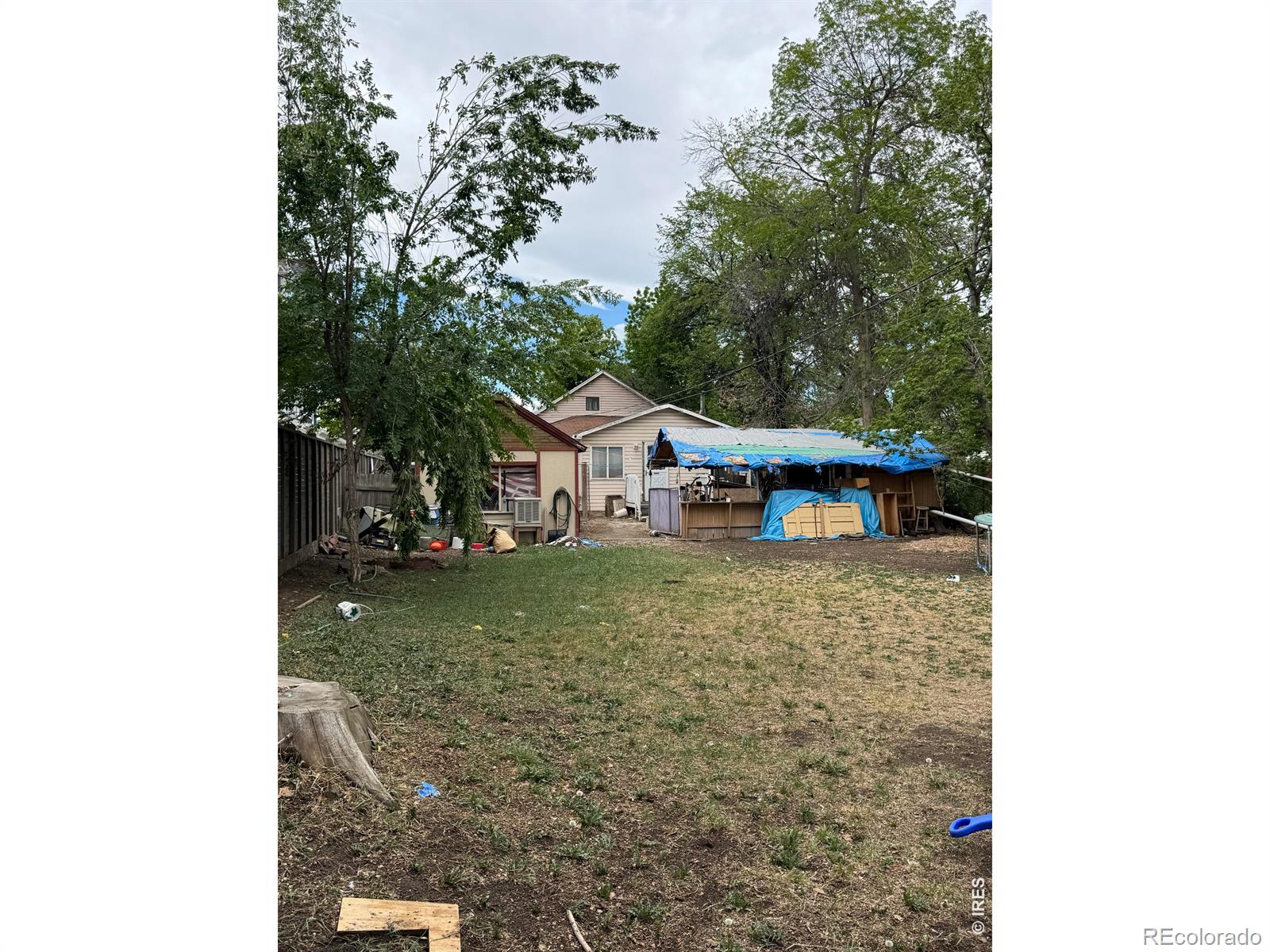 MLS Image #15 for 220  emery street,longmont, Colorado