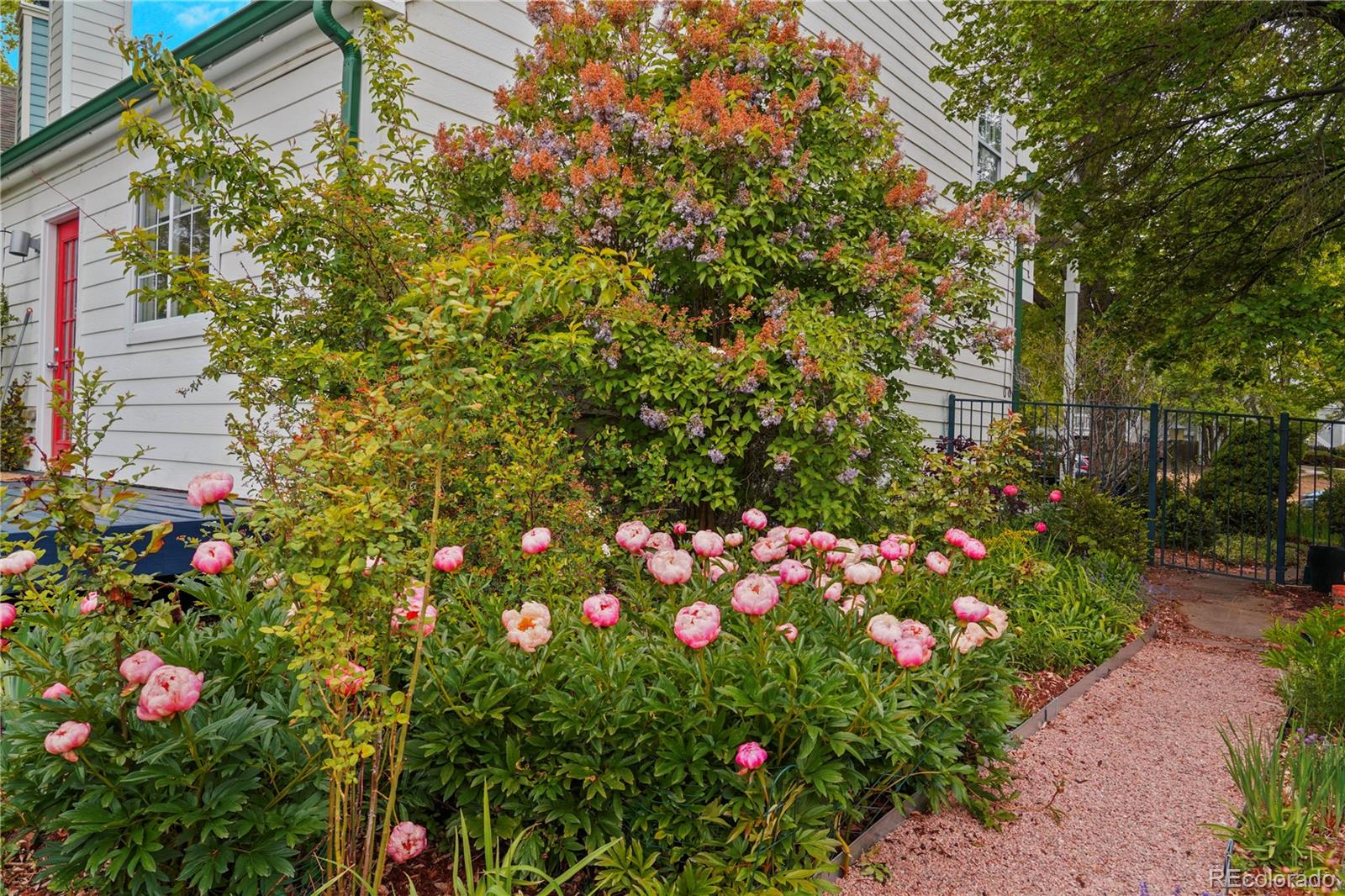 MLS Image #20 for 700  owl drive,louisville, Colorado