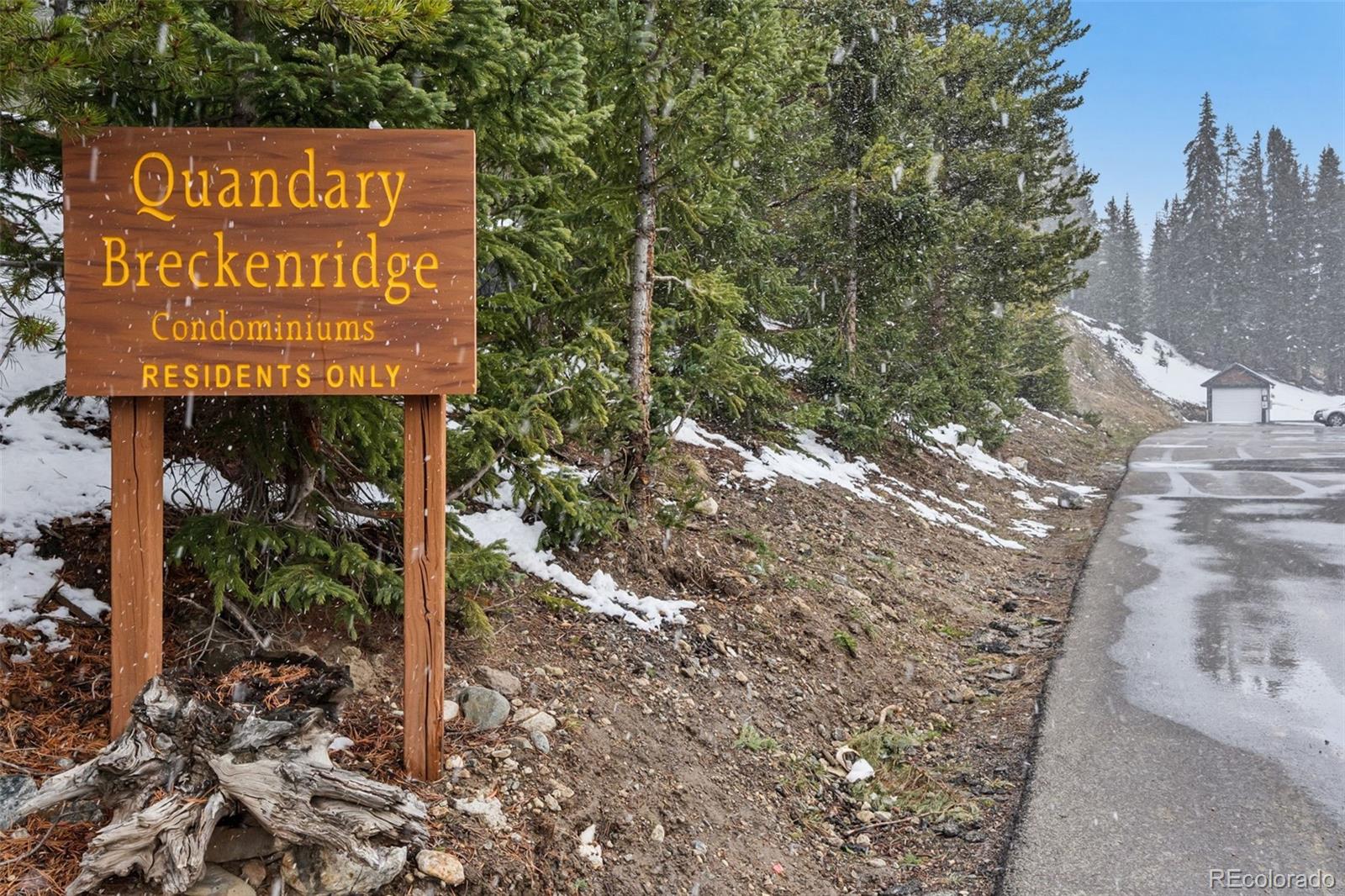 MLS Image #1 for 4192  highway 9 ,breckenridge, Colorado