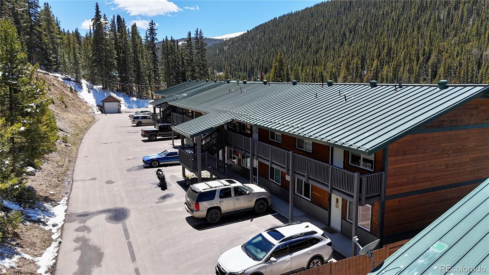 MLS Image #19 for 4192  highway 9 ,breckenridge, Colorado