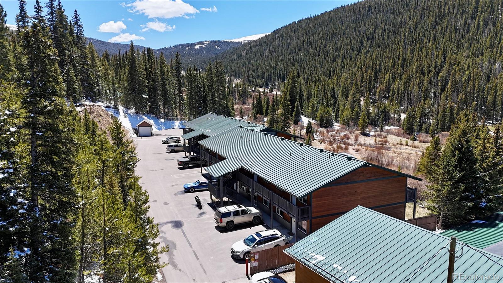 MLS Image #20 for 4192  highway 9 ,breckenridge, Colorado