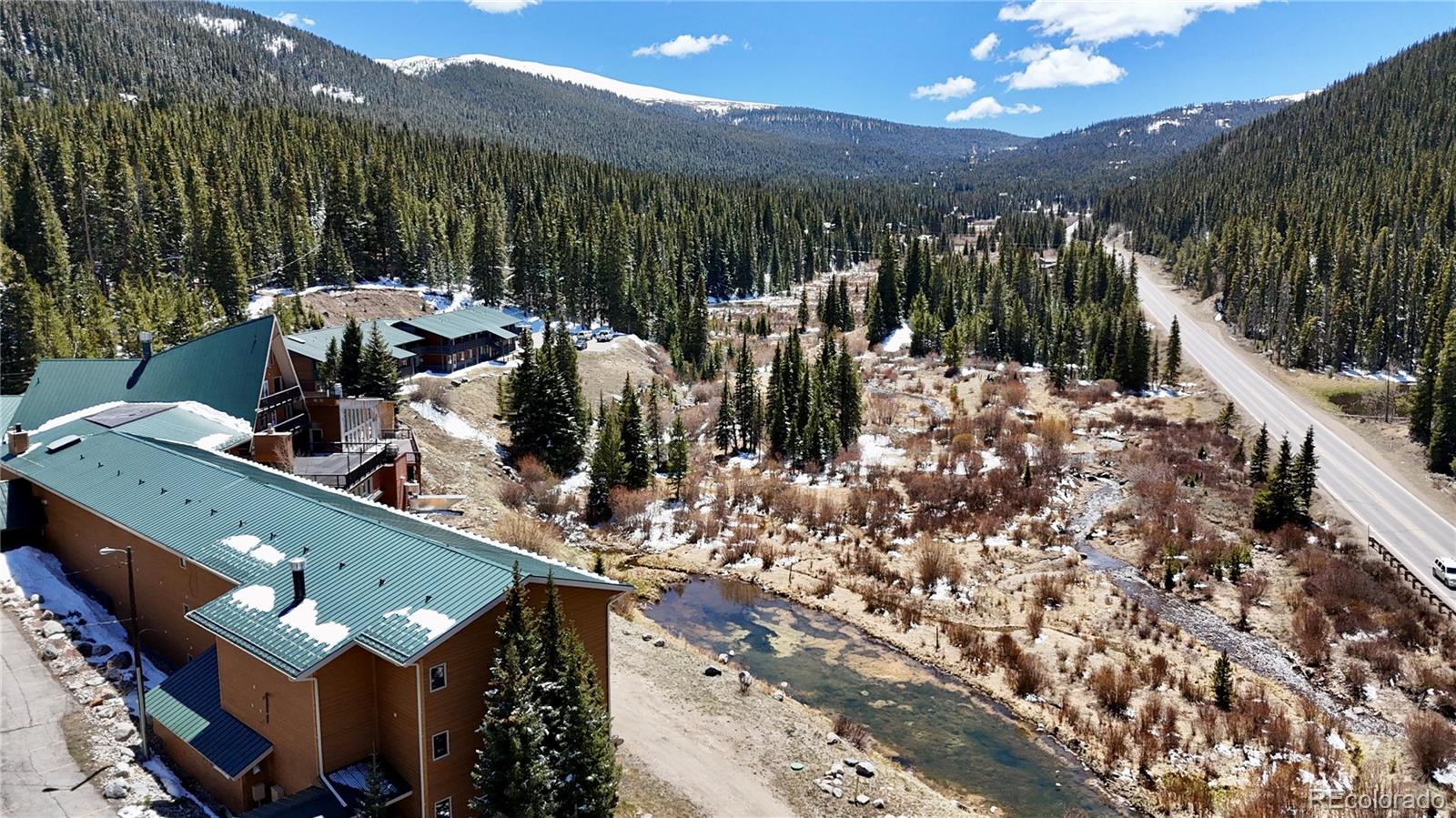MLS Image #22 for 4192  highway 9 ,breckenridge, Colorado