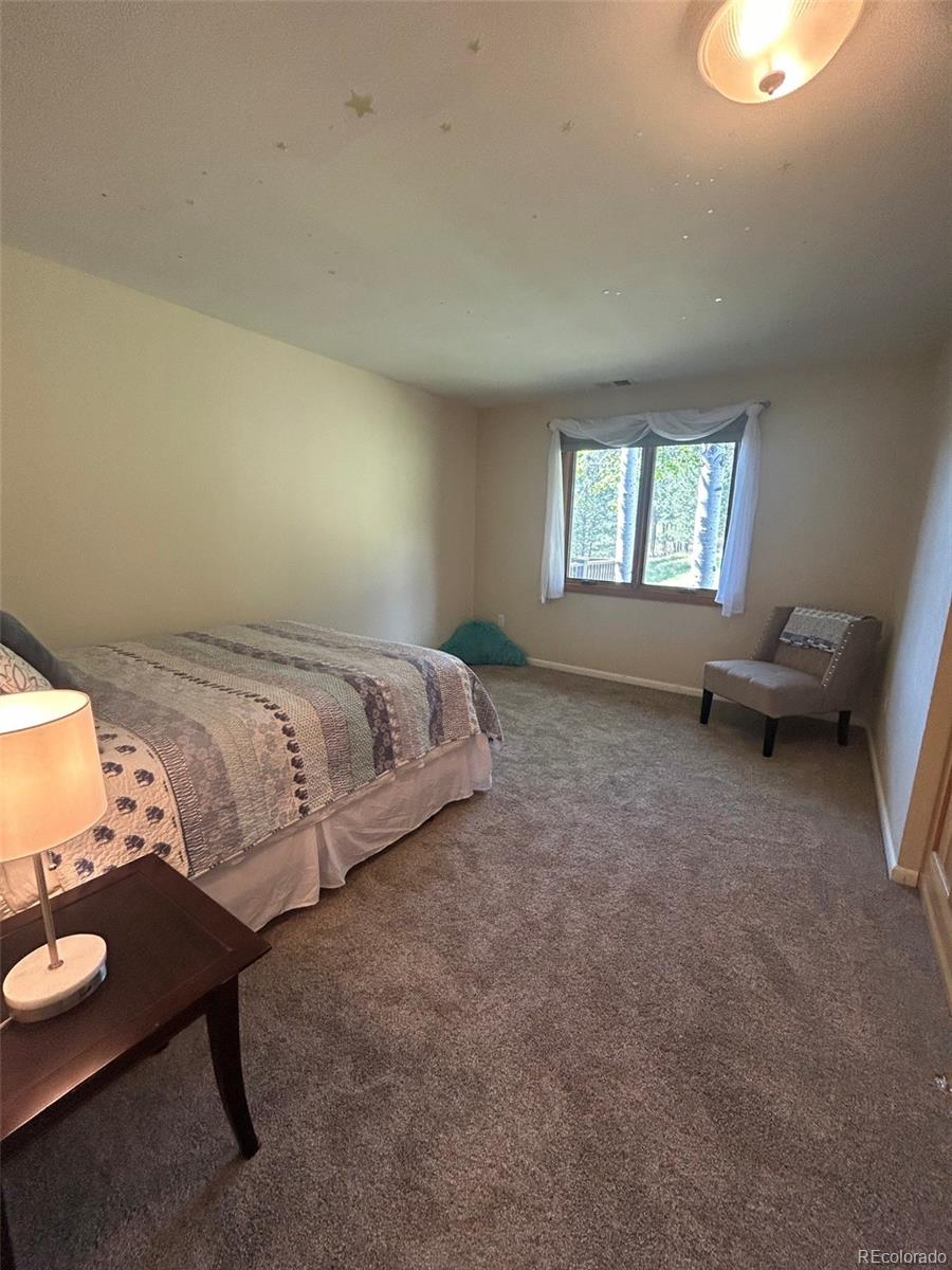 MLS Image #25 for 28964  western drive,evergreen, Colorado