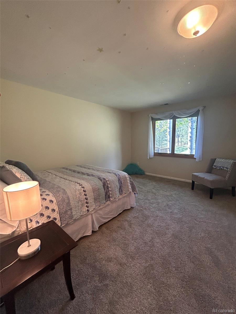 MLS Image #28 for 28964  western drive,evergreen, Colorado