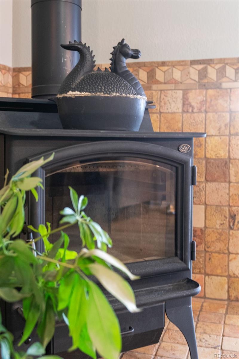 MLS Image #37 for 4685  county road 106 ,elbert, Colorado