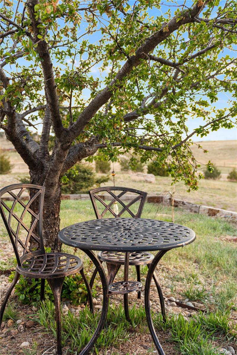MLS Image #38 for 4685  county road 106 ,elbert, Colorado
