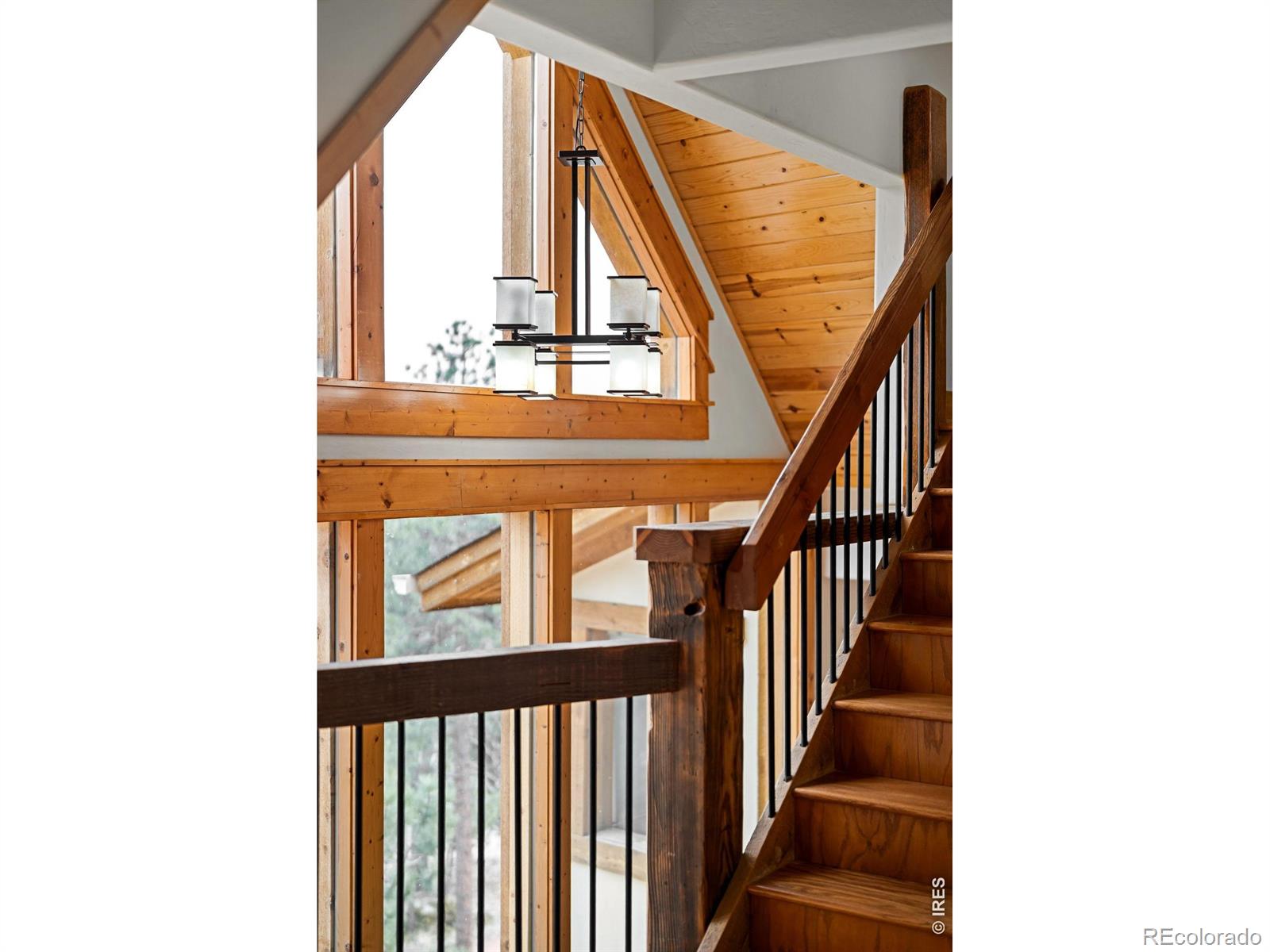 MLS Image #10 for 229  mohawk trail,pine, Colorado