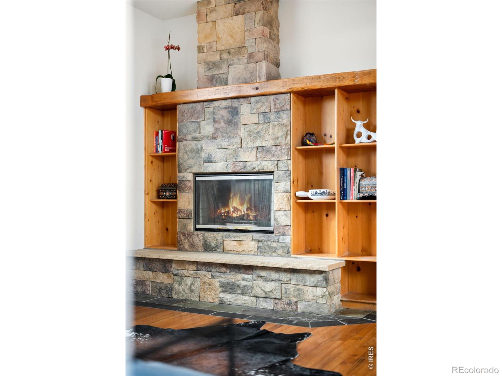 MLS Image #15 for 229  mohawk trail,pine, Colorado