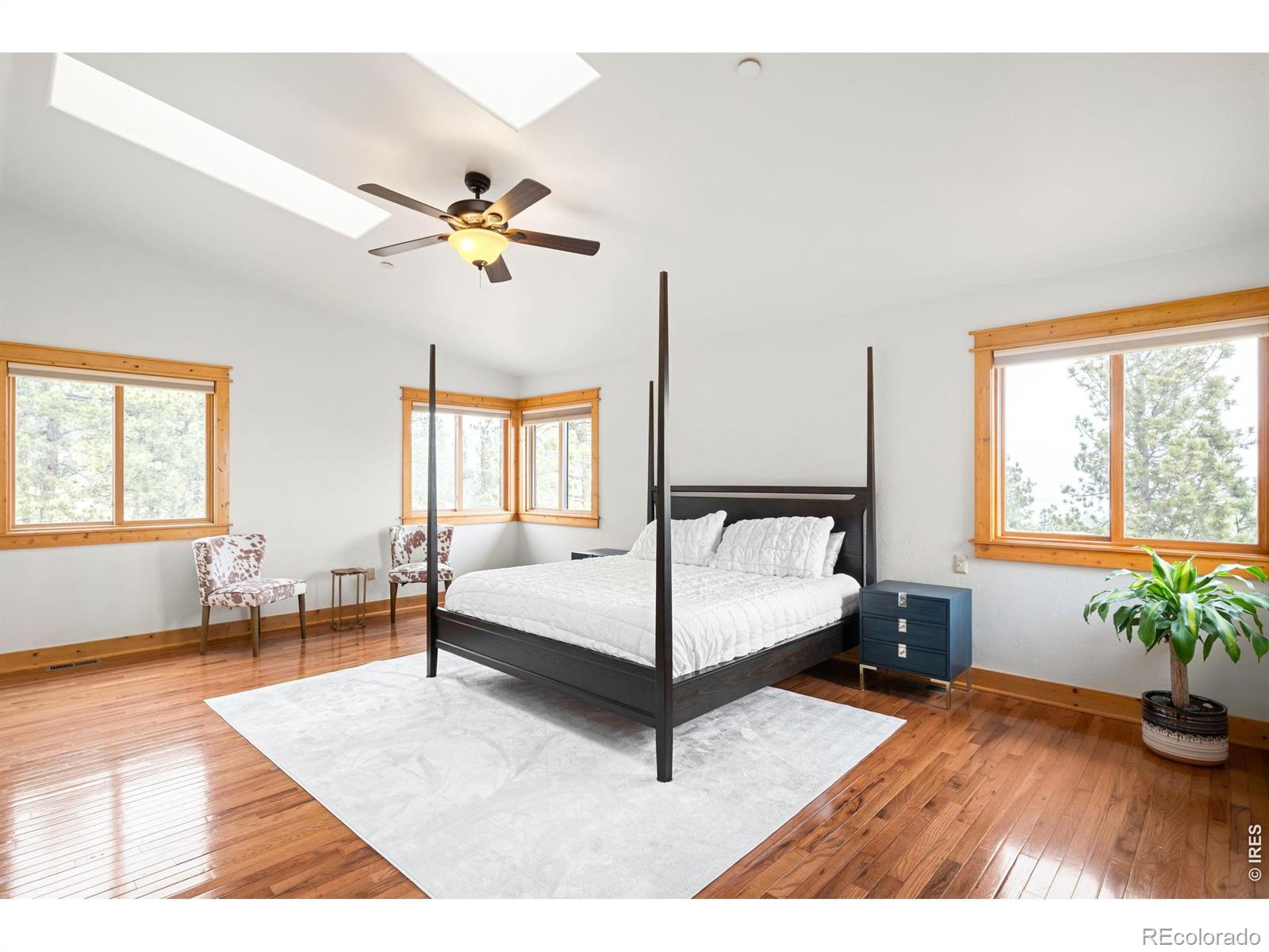 MLS Image #17 for 229  mohawk trail,pine, Colorado