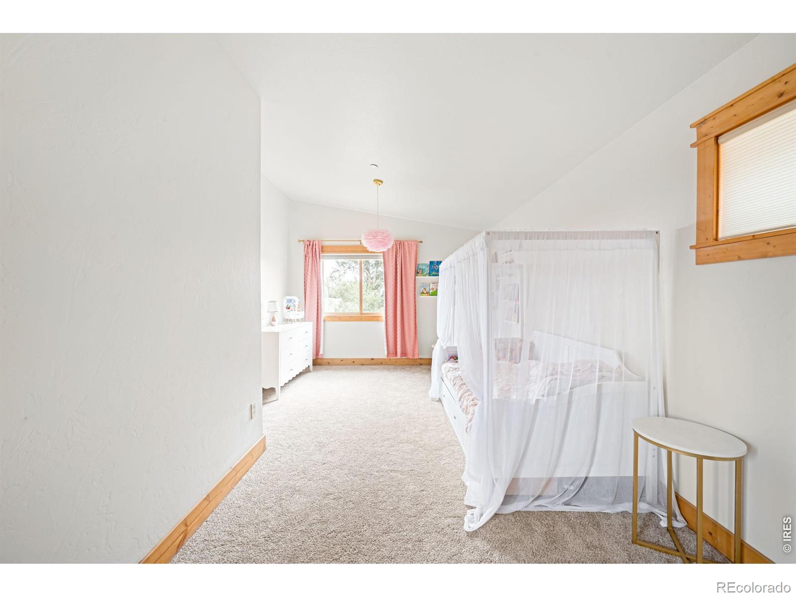 MLS Image #24 for 229  mohawk trail,pine, Colorado