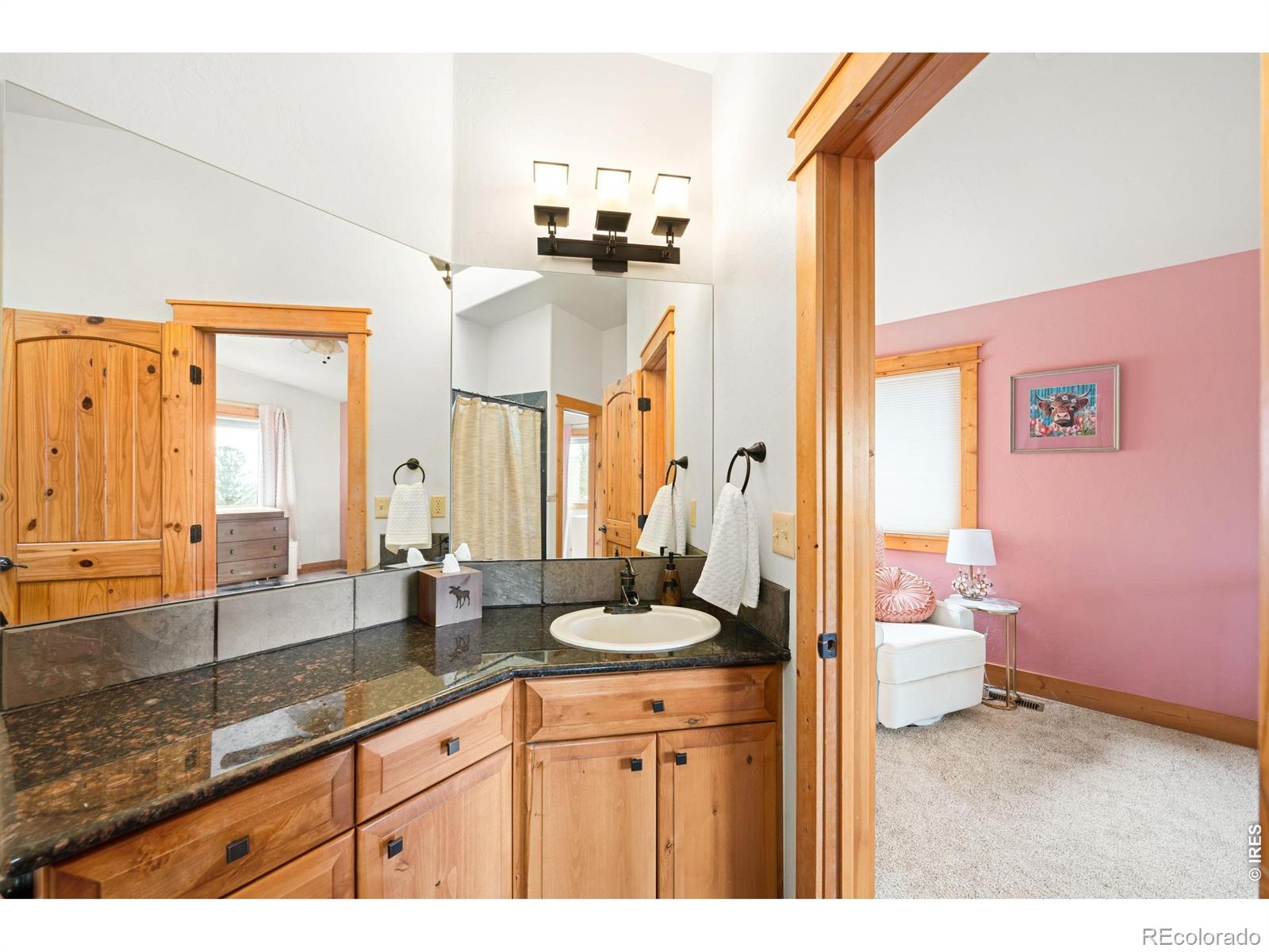 MLS Image #25 for 229  mohawk trail,pine, Colorado