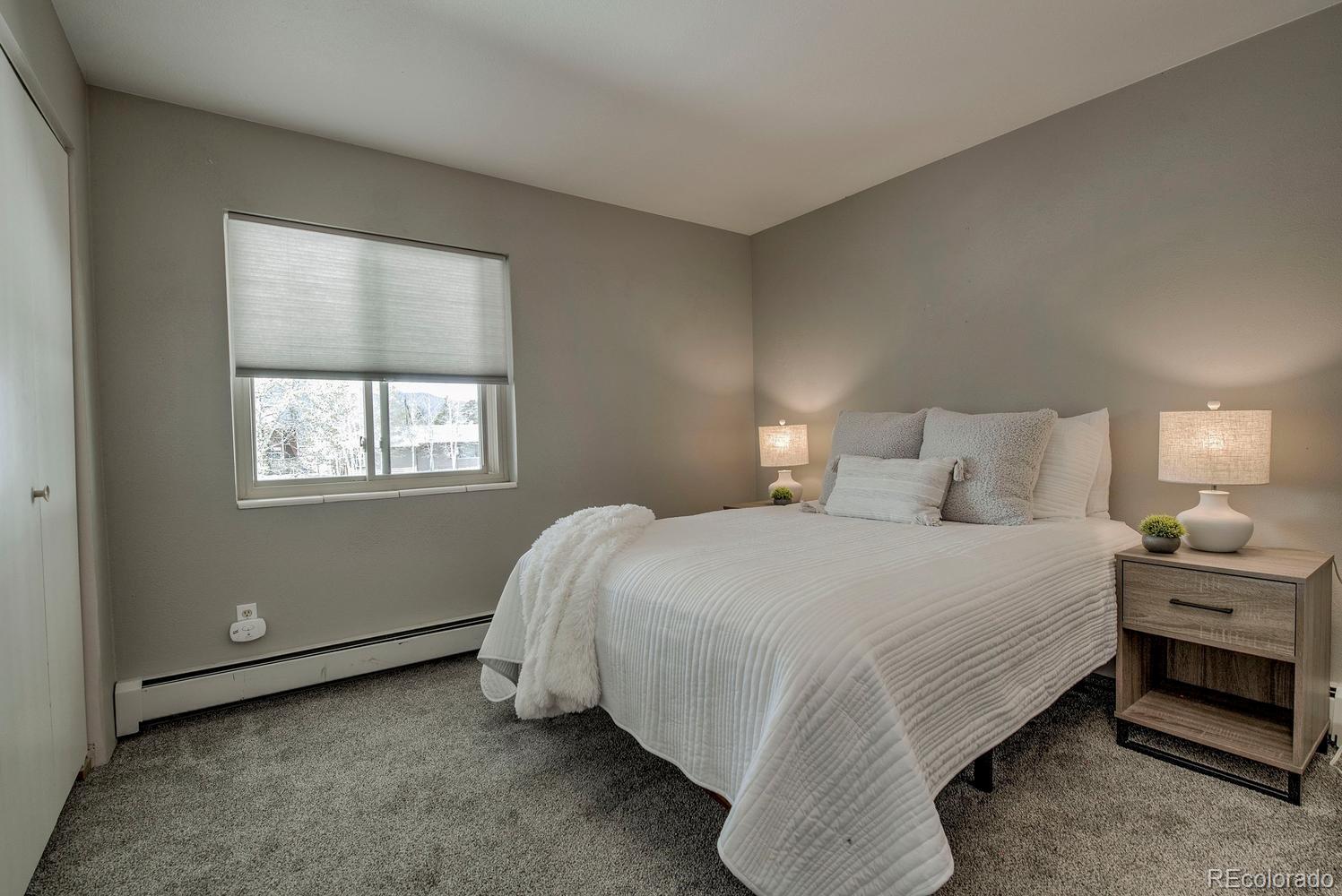 MLS Image #16 for 370 e la bonte street,dillon, Colorado